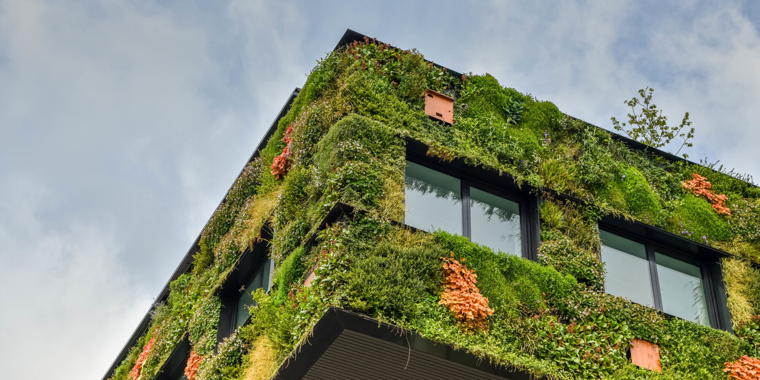 Ein Haus… Kinfolk-Klasse per Anblick aufwärts den Grünanlage